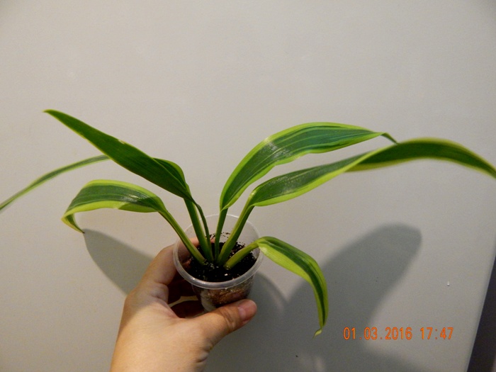 DSCN5873.JPG