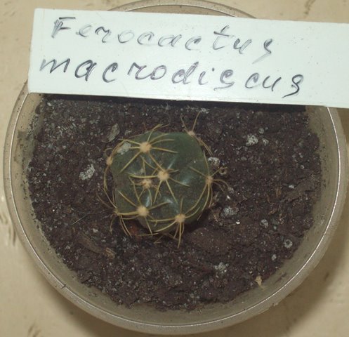100_1476.JPG