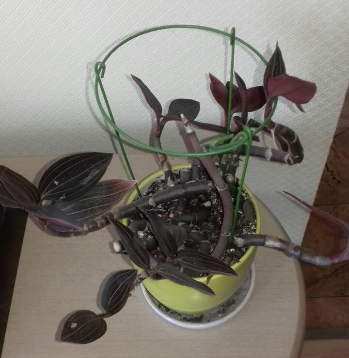 1e646f9b9bdbccbc73f8ed8cc29f10c8d028574ba003c5aafc00b767a9100472.jpg