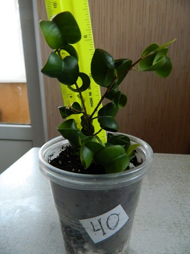DSCN3447.JPG