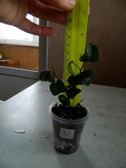 DSCN3448.JPG