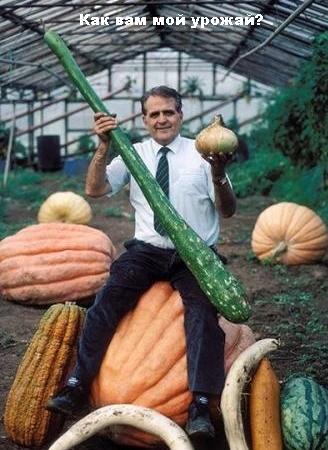 овощи.jpg