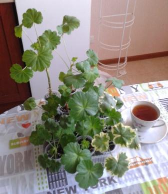 2000-02-20 02.39.30.jpg