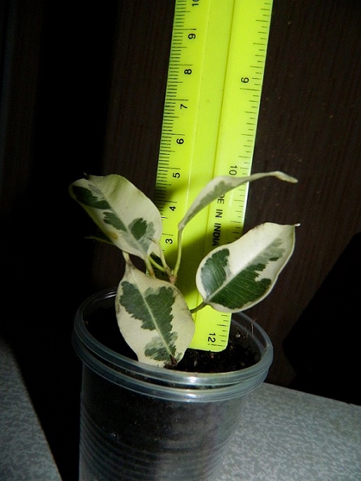 DSCN3427.JPG