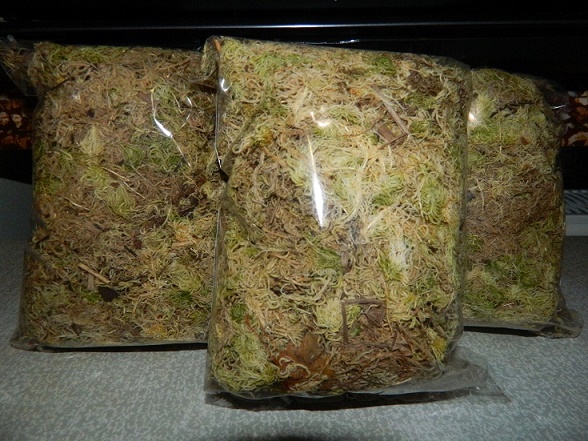 DSCN3574.JPG