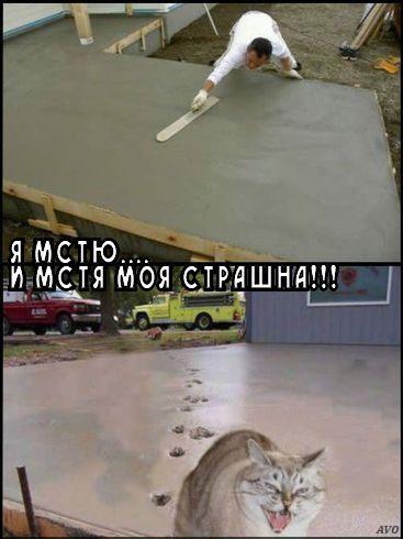 ar_8d7e54883870632bed0110ef73ce8891.jpg