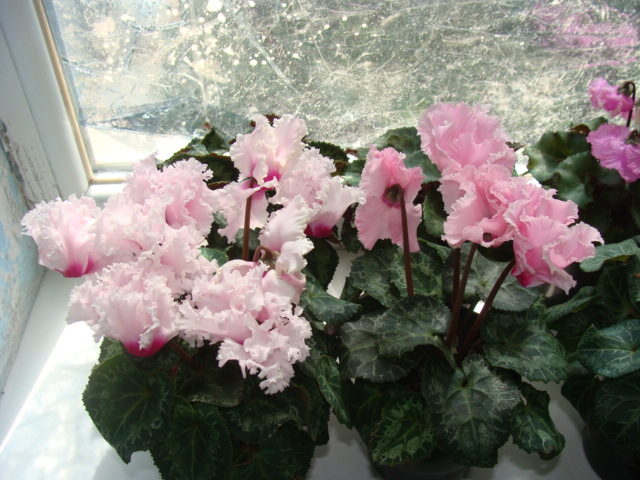 DSC03501.JPG