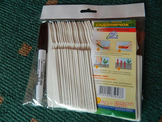 DSCN3679.JPG