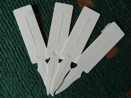 DSCN3680.JPG