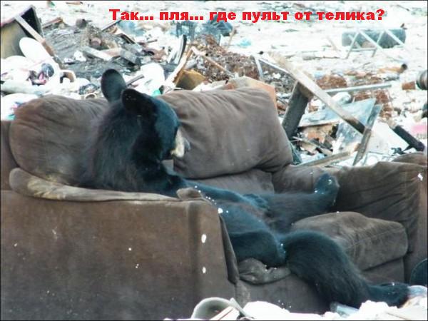 пля.jpg