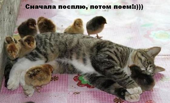 поем.jpg