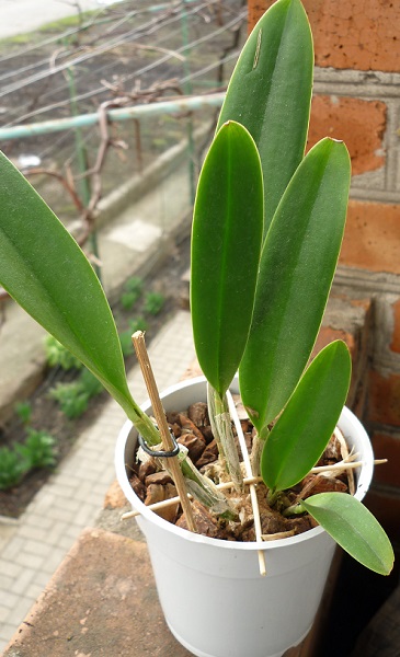 P1140095щ.jpg