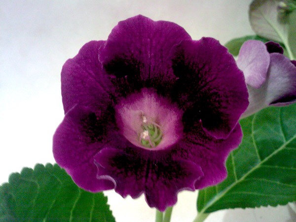 SP_A7024.jpg
