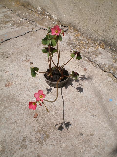 P1010001.JPG