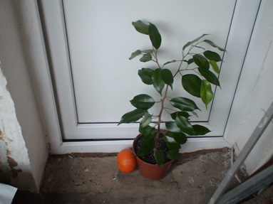 DSC02619а.jpg