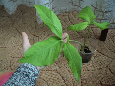 DSC02644а.jpg