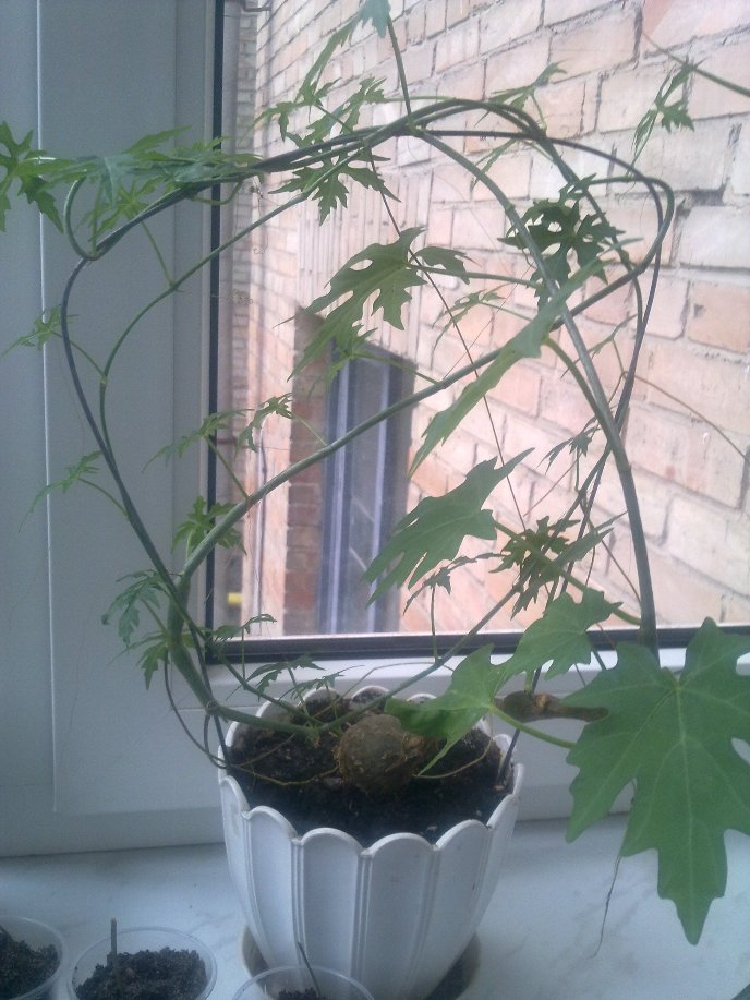 070820122070.jpg