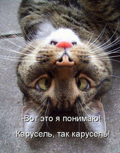 3d4929e5ea38 (16).jpg