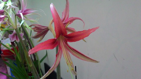 P_20160110_102456.jpg