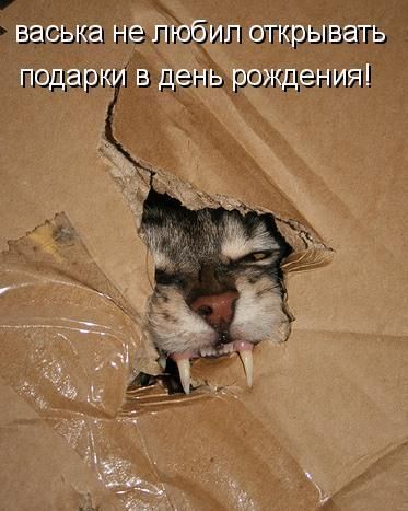 s3img_12398122_35446_5.jpg