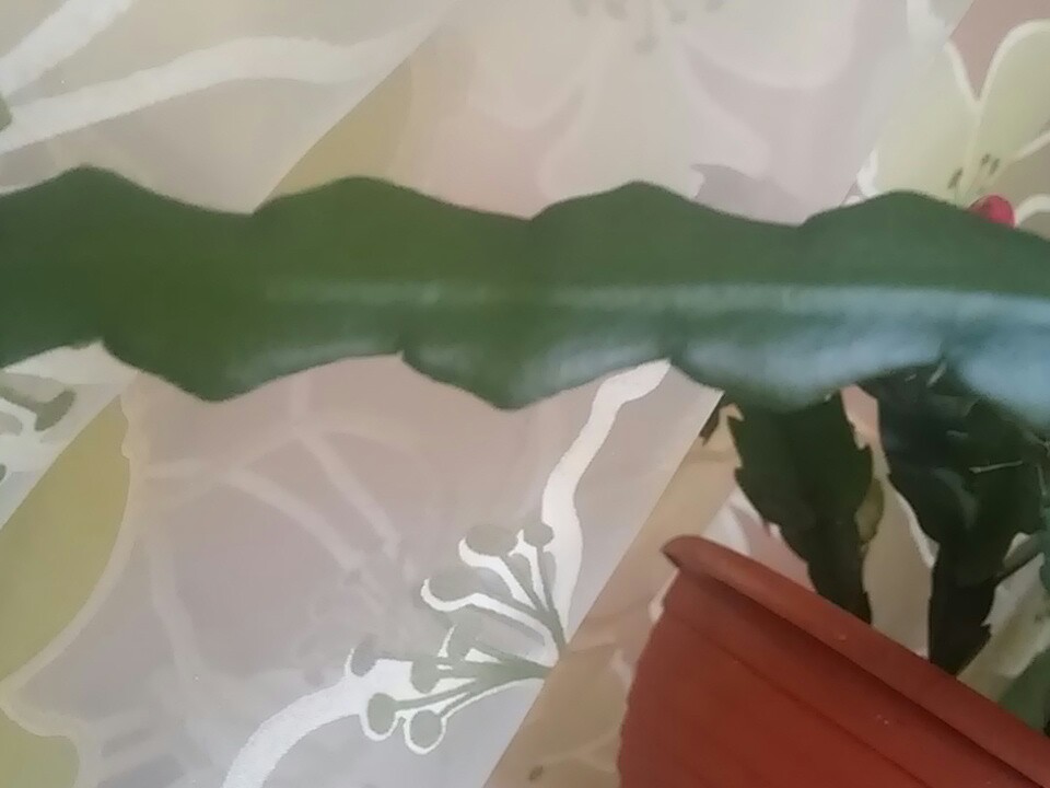 20160411_190318-1.jpg