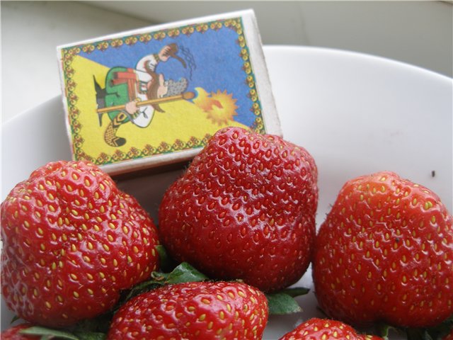 10.jpg