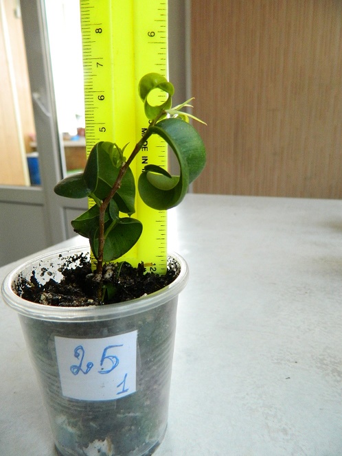 DSCN3919.JPG