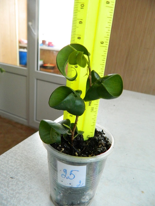 DSCN3920.JPG