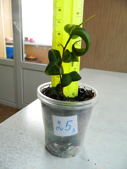 DSCN3922.JPG
