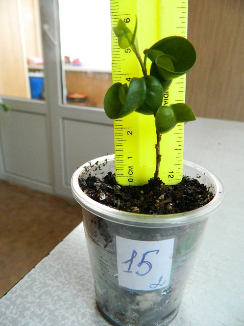 DSCN3928.JPG