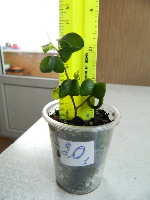 DSCN3923.JPG