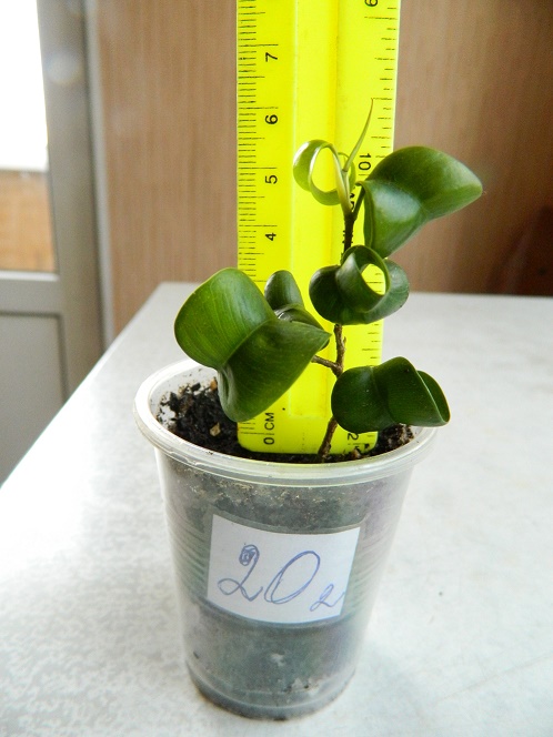 DSCN3924.JPG