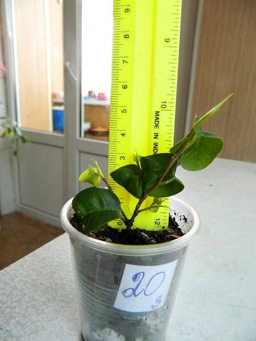 DSCN3925.JPG