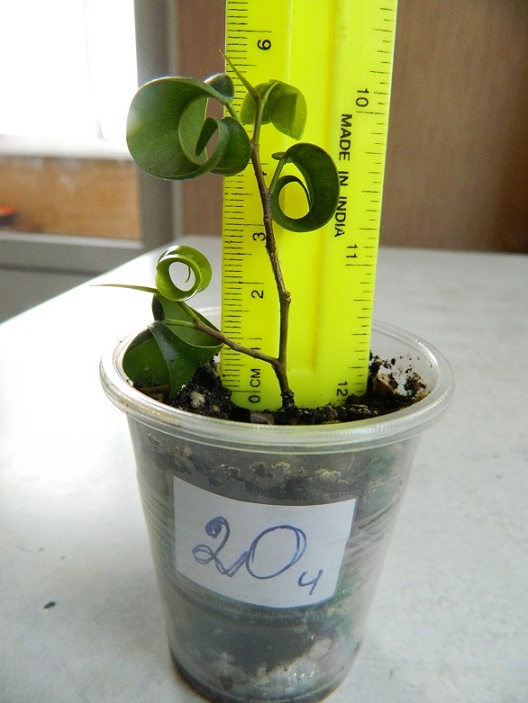 DSCN3926.JPG