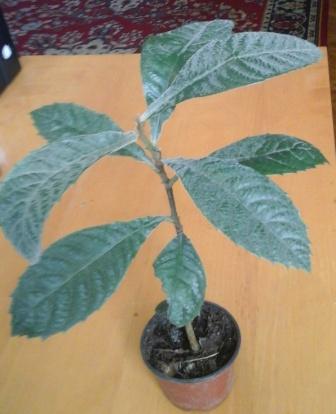 20160419_084925.jpg