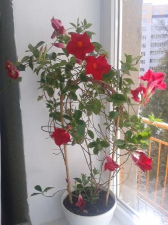 2015-04-02 14.09.13.jpg