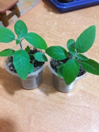 20160424_232555.jpg