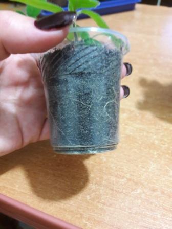 20160424_232613.jpg