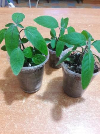 20160424_232810.jpg