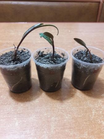 20160424_234037.jpg
