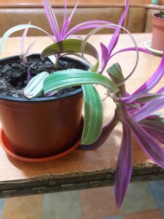 20160425_012330.jpg
