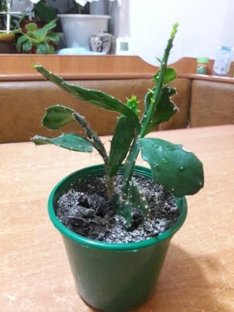 20160425_013649.jpg