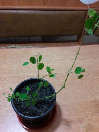 20160425_011250.jpg