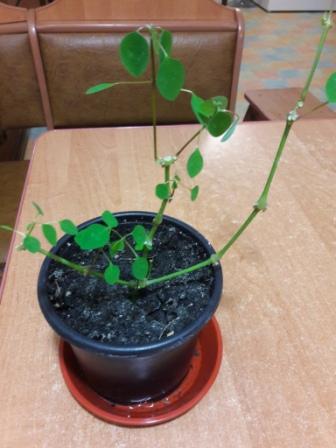 20160425_011309.jpg