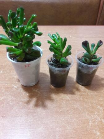 20160424_233925.jpg