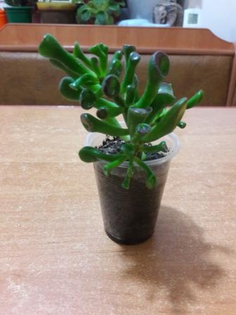 20160425_022538.jpg