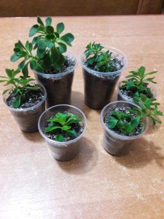 20160424_234238.jpg