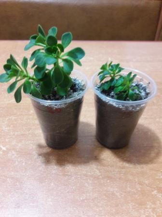 20160424_234254.jpg