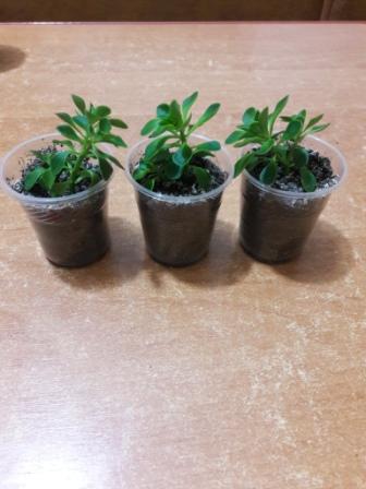 20160424_234311.jpg