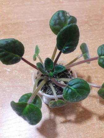 20160424_233046.jpg